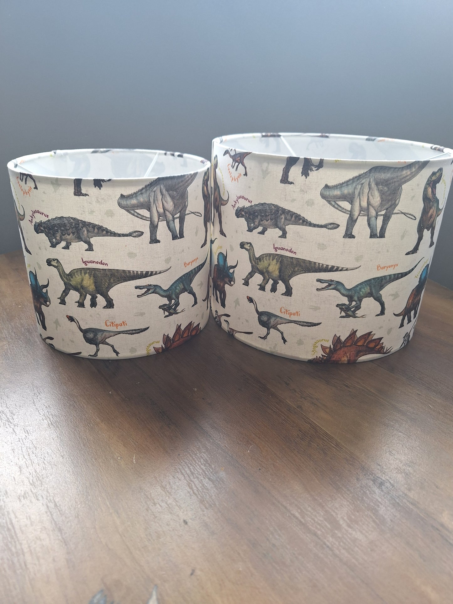 Dinosaur Lampshade, Ceiling Light Shade - Ready Made