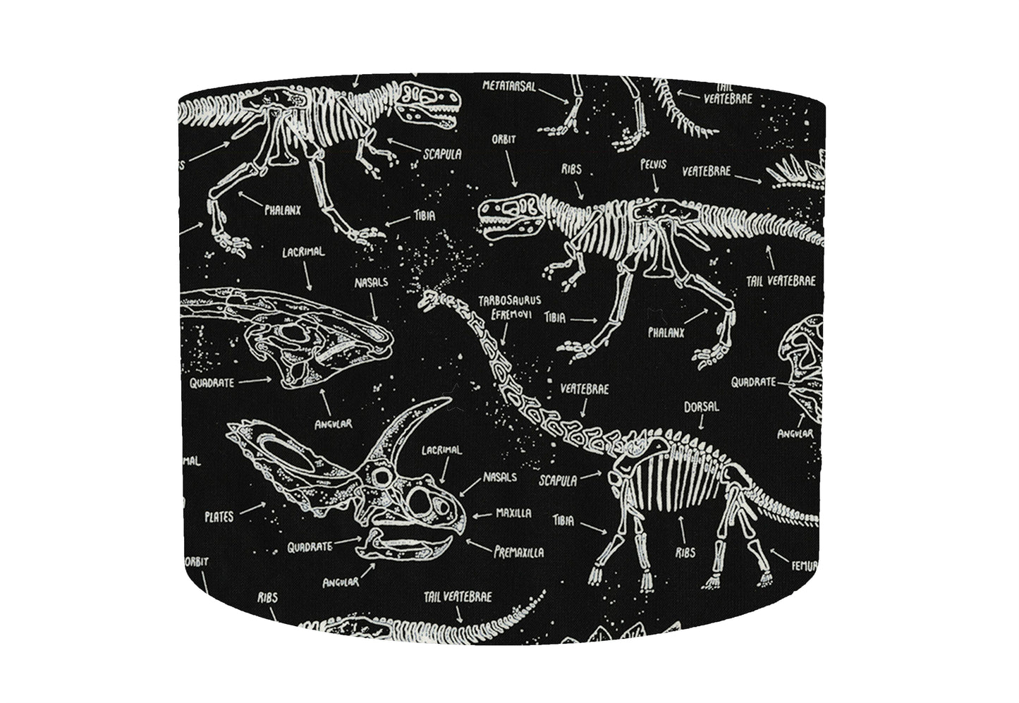 Glow In The Dark Dinosaur Skeleton Lampshade, Dinosaur Themed Bedroom