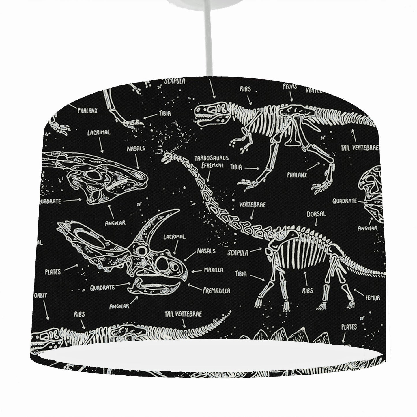 Glow In The Dark Dinosaur Skeleton Lampshade, Dinosaur Themed Bedroom